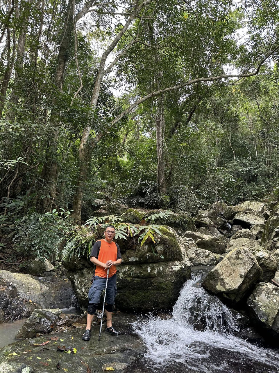 Trekking khám phá rừng nguyên sinh